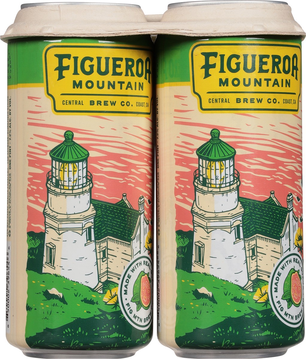 slide 5 of 10, Fig Mountain Guava Point Conception Ipa In Cans - 4-16 Fl Oz, 64 fl oz