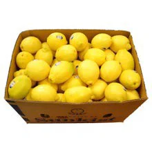 Lemon