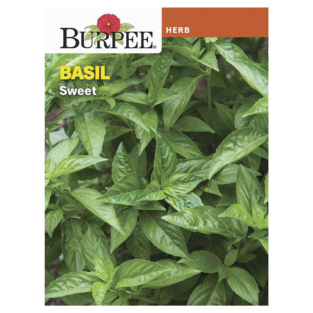 slide 1 of 1, Burpee Sweet Basil Seeds, 1 ct