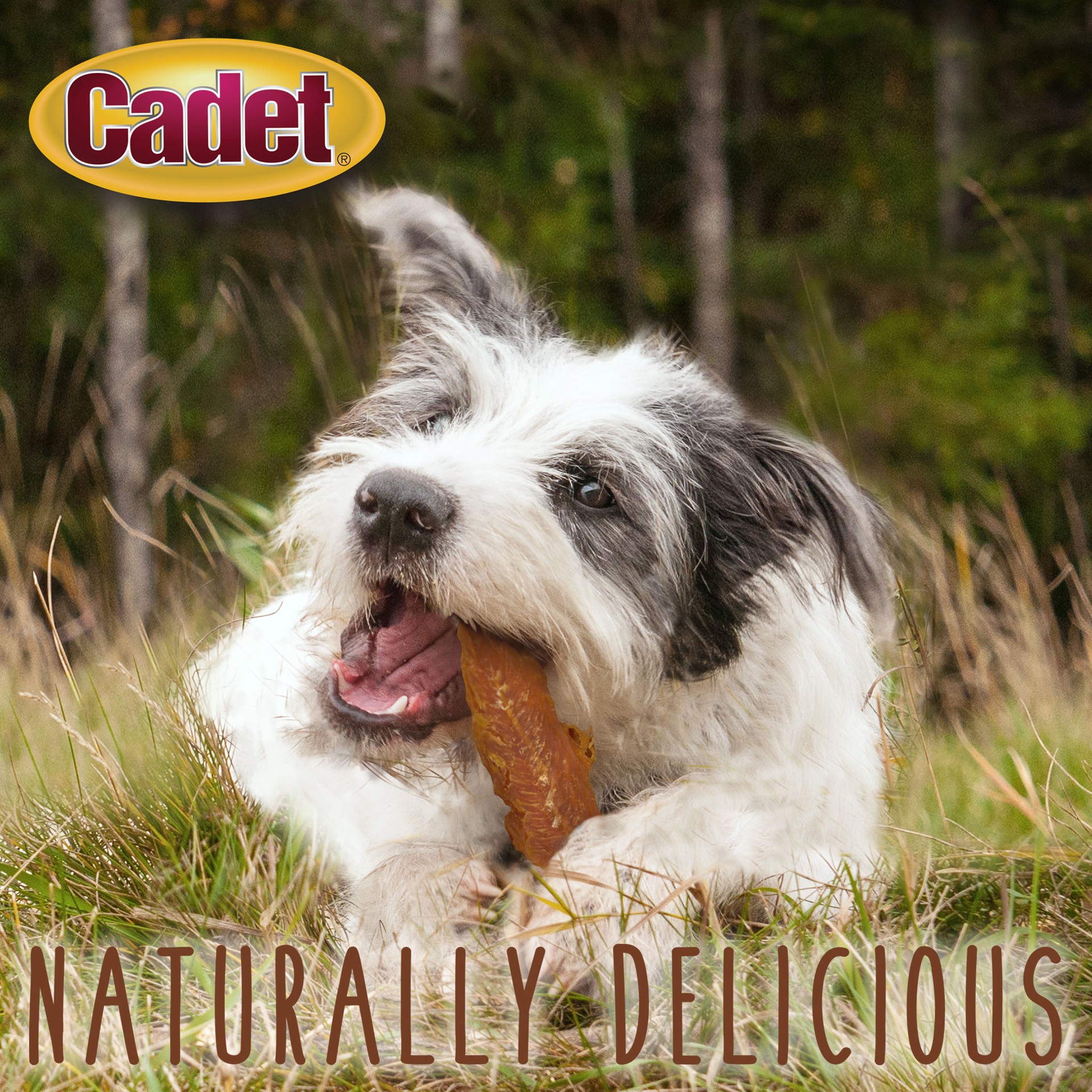 slide 8 of 10, Cadet Gourmet Chicken Breast Dog Treats 28 Ounce, 1 ct