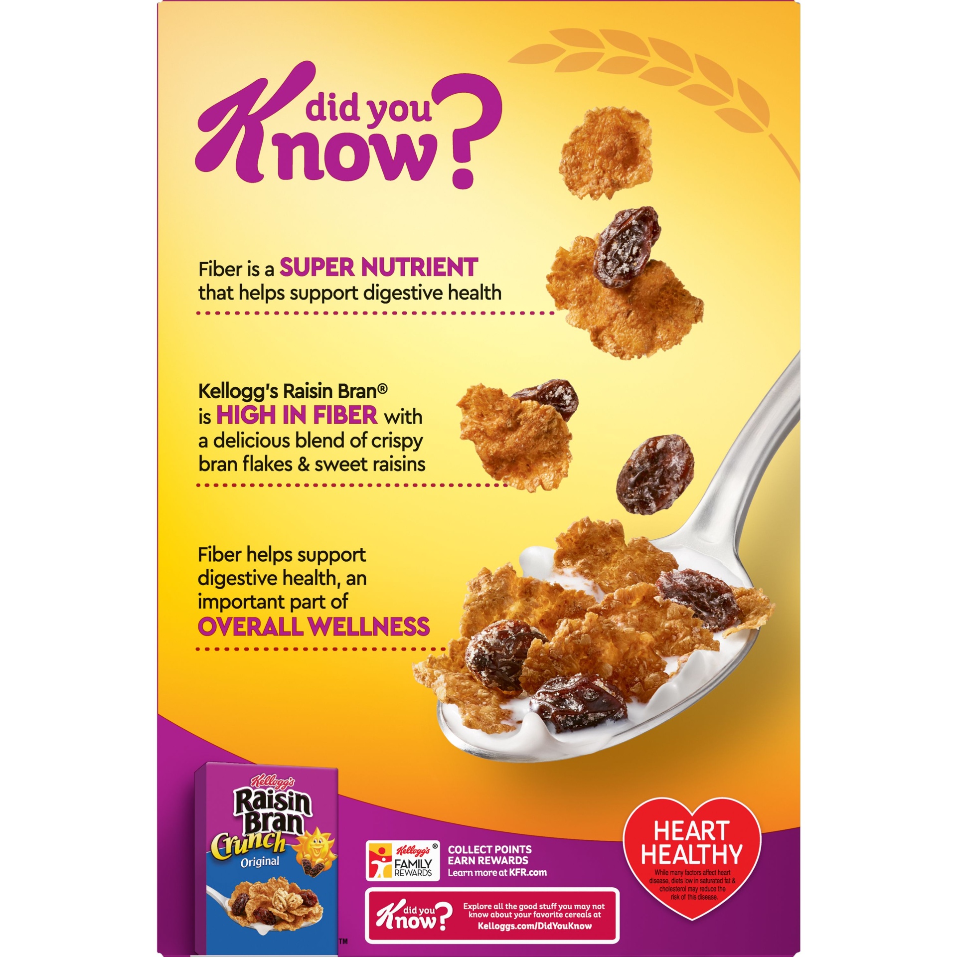 slide 3 of 7, Kellogg's Raisin Bran Original Cold Breakfast Cereal, 16.6 oz