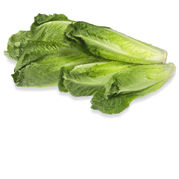 slide 1 of 1, Queen Victoria Lettuce Romaine Hearts, 3 ct