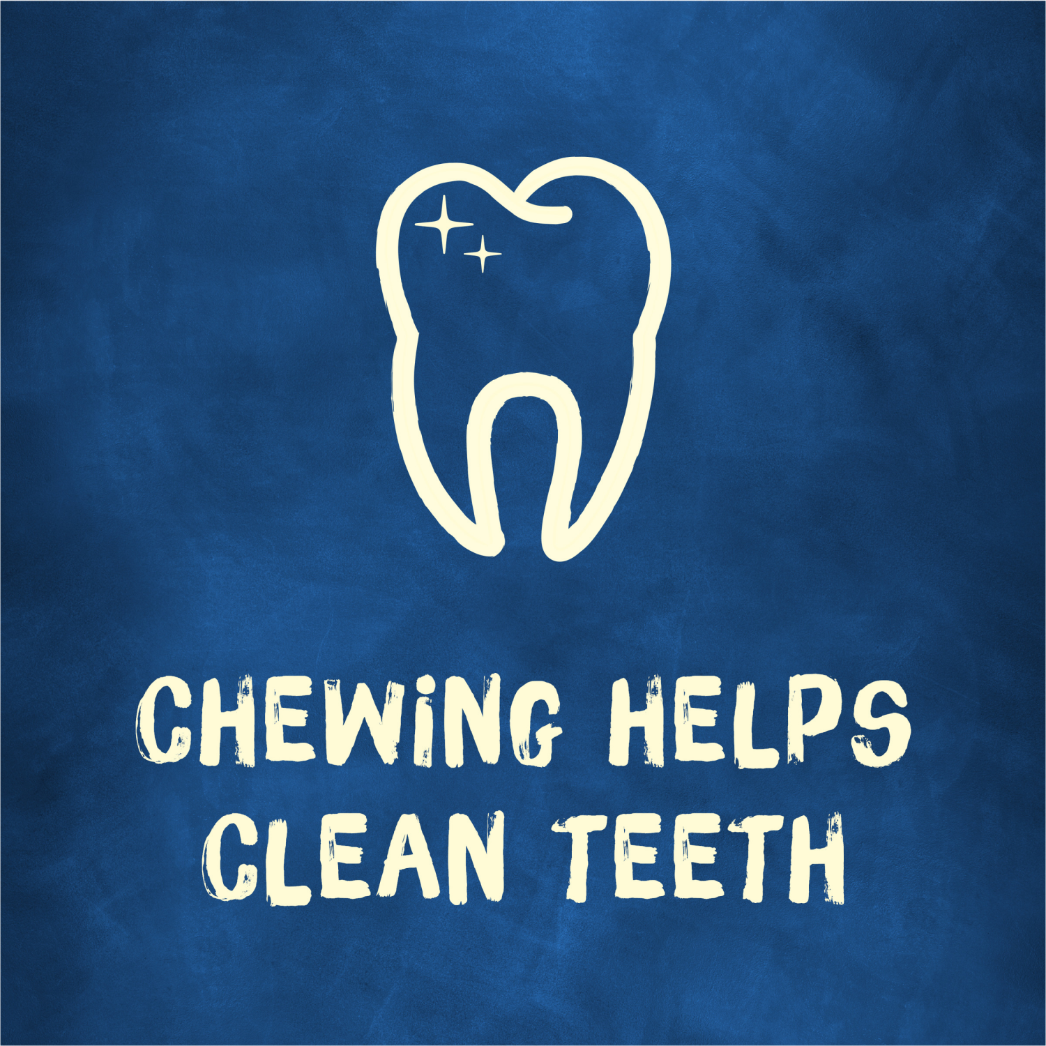 slide 7 of 8, Busy Purina Busy Bone Adult Dog Chew Bone Treats, Original - 2 ct. Pouch, 2 ct