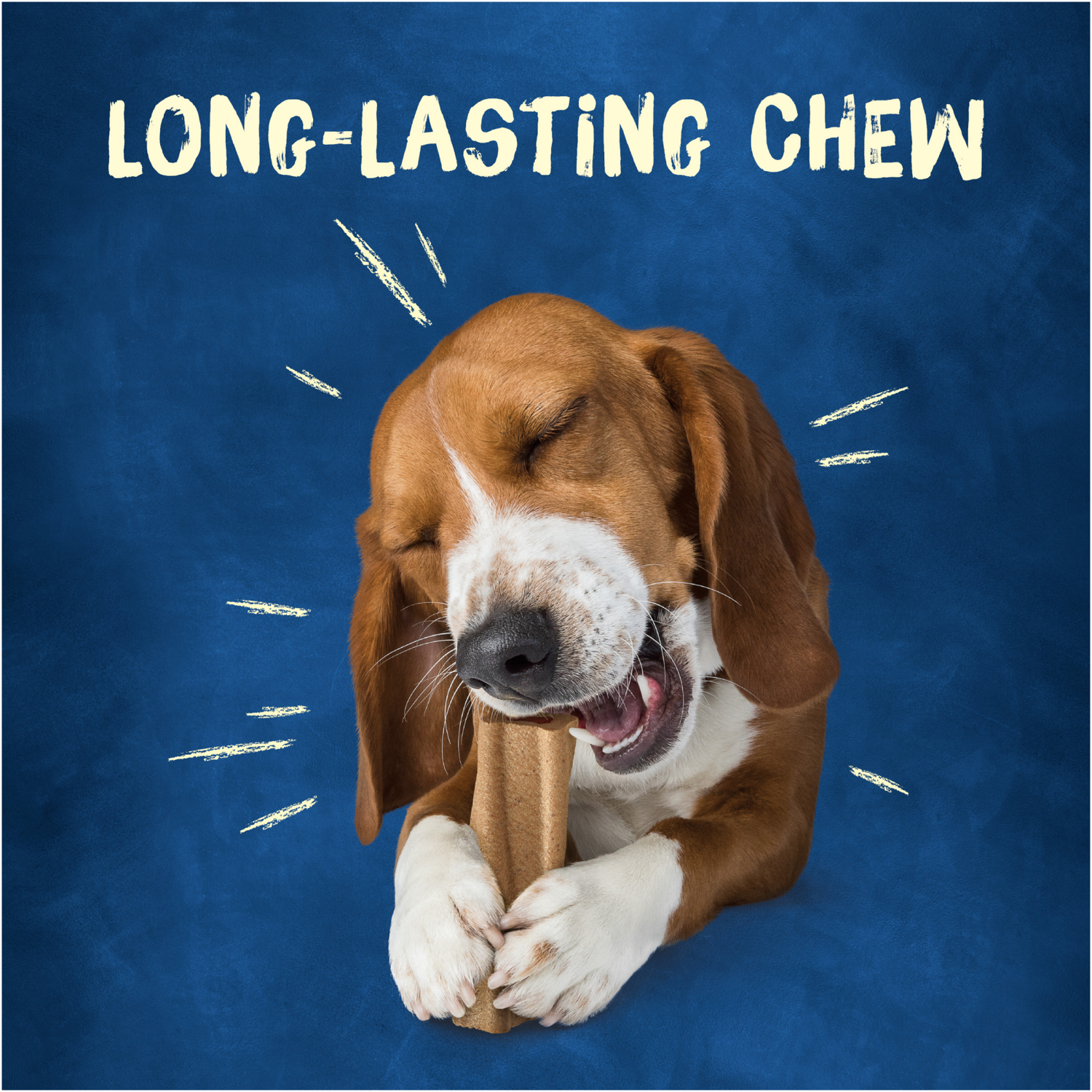 slide 8 of 8, Purina Busy Bone Adult Dog Chew Bone Treats, Original - 6 ct. Pouch, 6 ct