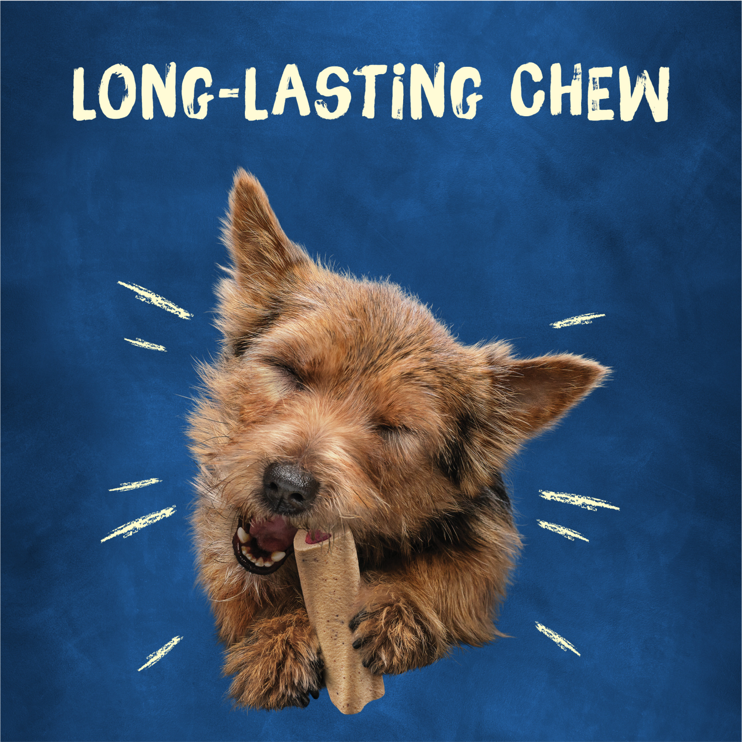 slide 7 of 8, Busy Bone Mini Long-Lasting Chew Small Dog Treats 20 Count, 35 oz