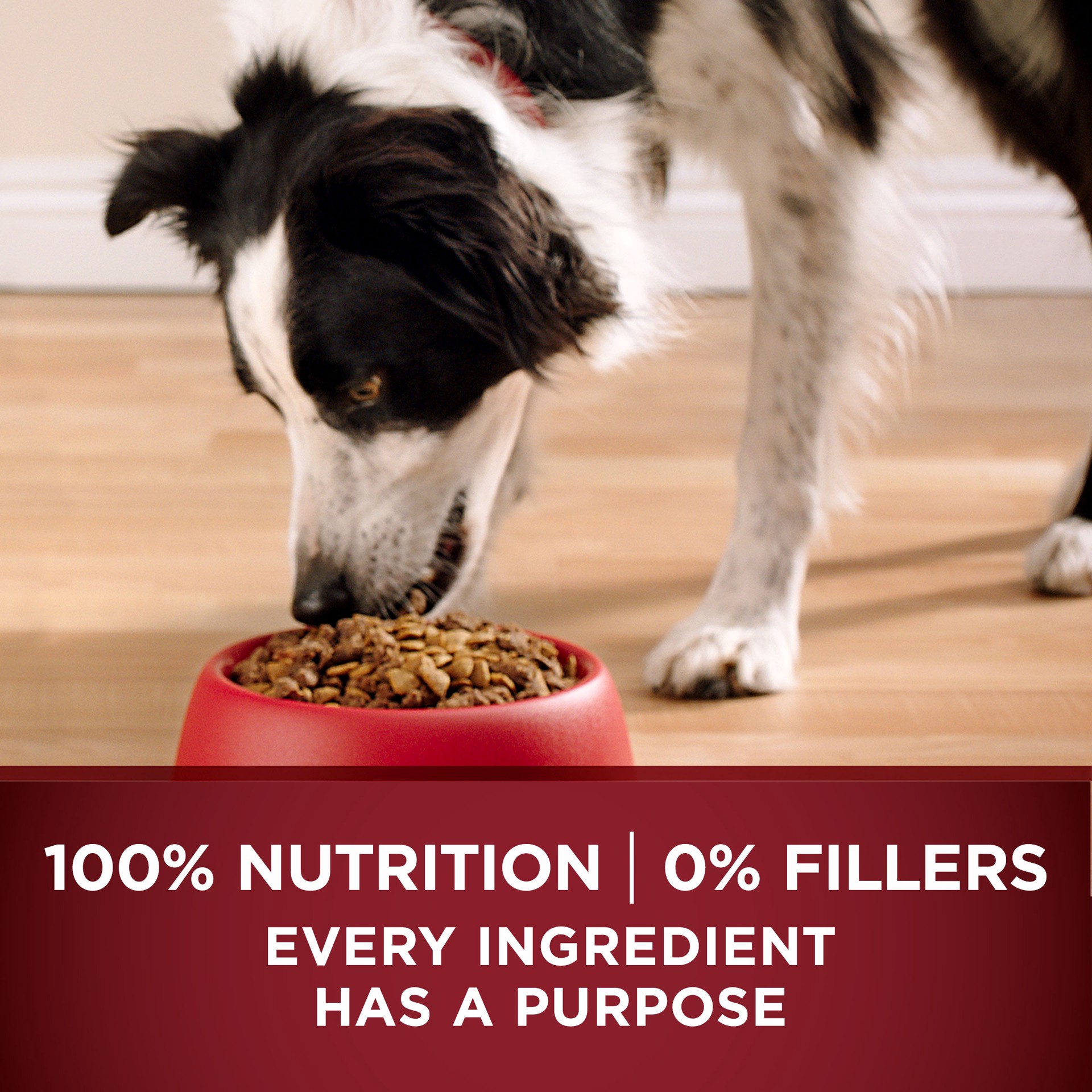 slide 6 of 8, ONE Purina ONE Grain Free Natural High Protein Dry Dog Food Formula True Instinct with Real Beef with Added Vitamins, Minerals and Nutrients, 12.50 lb