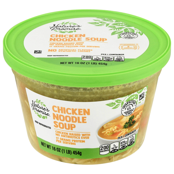 slide 1 of 1, Nature's Promise Chicken Noodle Soup Refrigerated, 16 oz