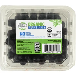 Nature&#x27;s Promise Organic Blueberries