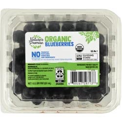 Nature's Promise Organic Blueberries