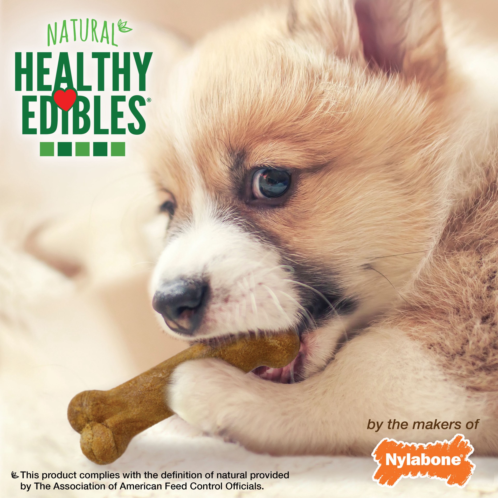 slide 5 of 9, Nylabone Healthy Edibles Puppy Natural Long Lasting Variety Dog Chew Treats Roast Beef, Turkey, & Apple, & Bacon X-Small/Petite - Up to 15 lbs.(3 Count), 3 ct