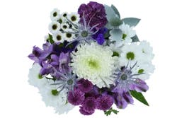 Brilliance in Bloom Fresh Cut Flower Bouquet