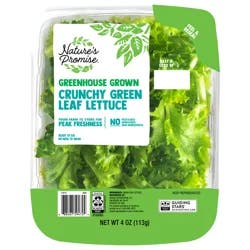 Nature's Promise Greenhouse Grown Crunchy Green Leaf Lettuce