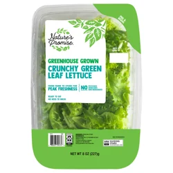 Nature's Promise Greenhouse Grown Crunchy Green Leaf Lettuce