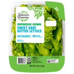 Nature's Promise Greenhouse Grown Sweet Baby Butter Lettuce
