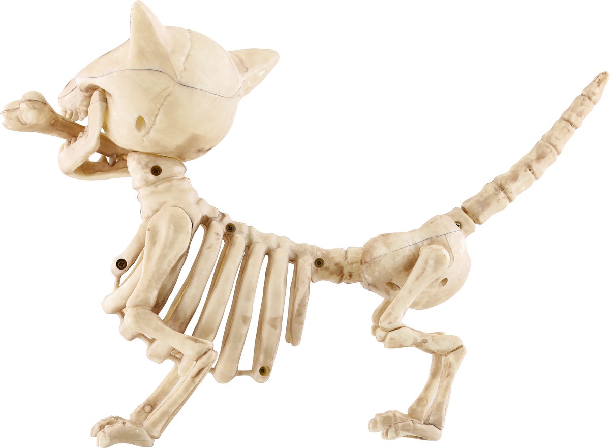 slide 3 of 11, Seasons Season's Skeleton Dog, 1 ct