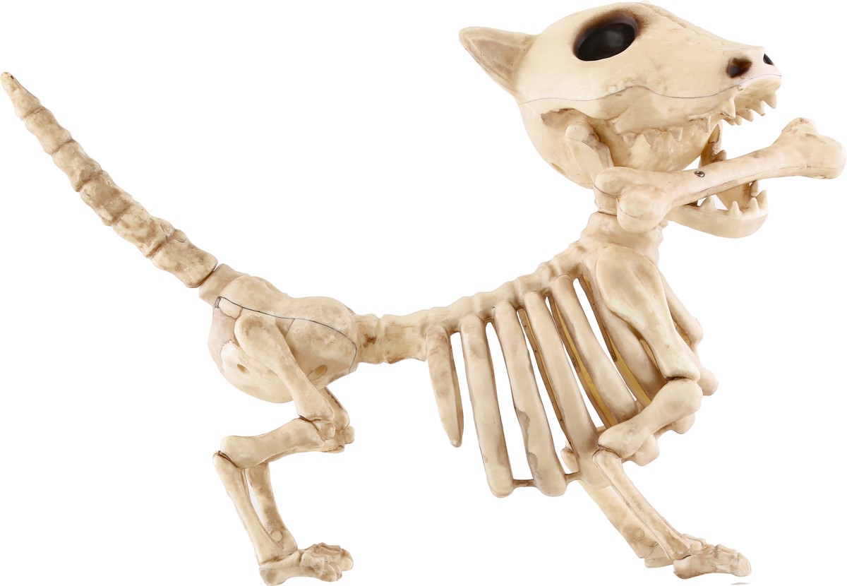 slide 5 of 11, Seasons Season's Skeleton Dog, 1 ct