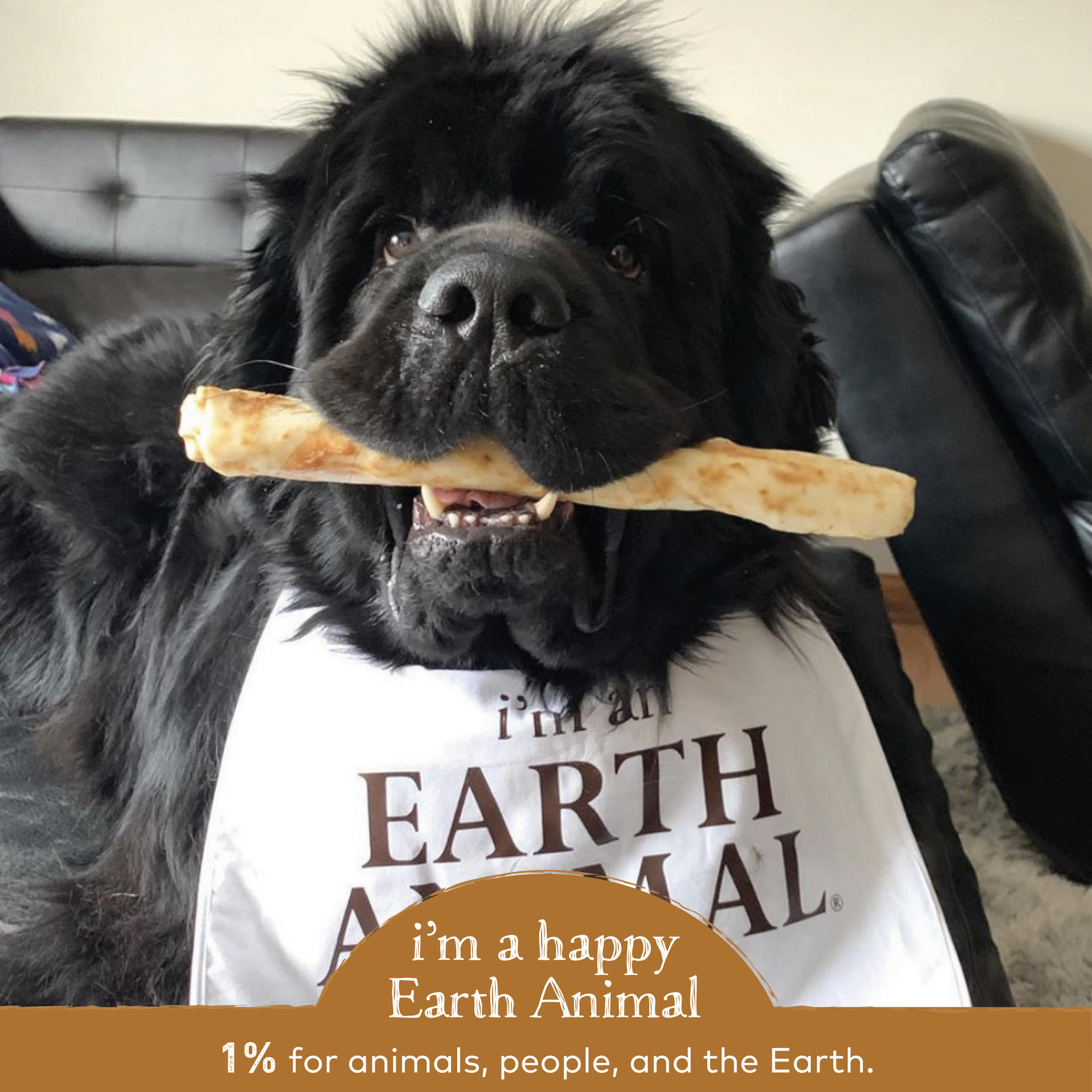 slide 4 of 4, Earth Animal No-Hide Grass-Fed Venison Large Natural Rawhide Alternative Dog Chew, 1 Count, 1 ct