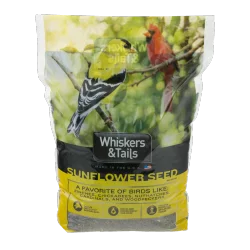 Whiskers & Tails Sunflower Seed