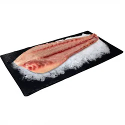 Fresh Redfish Fillet