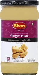Shan Ginger Paste 310 g