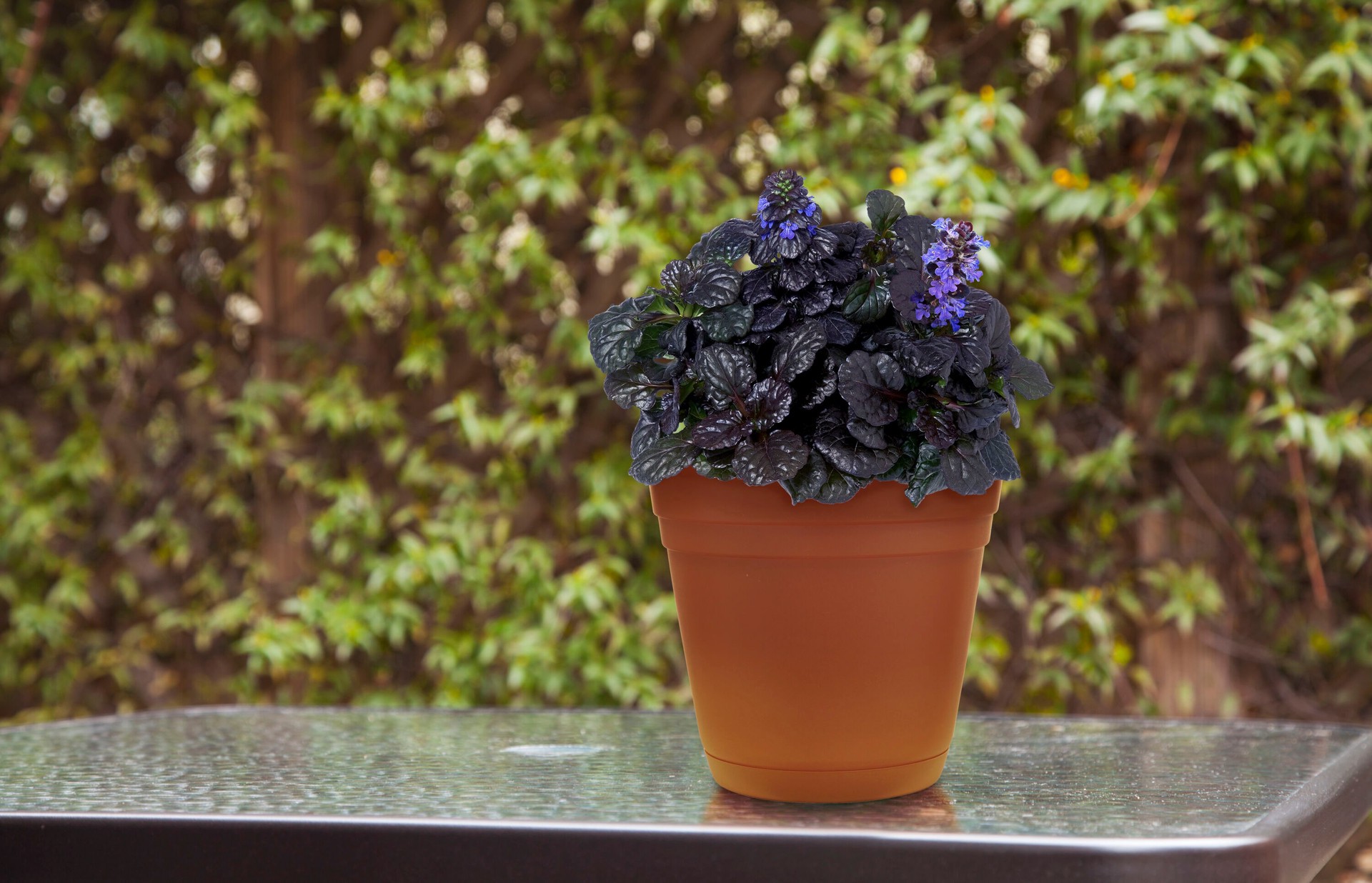 slide 2 of 6, Garden Treasures Round 8.0-in W x 8.0-in L Orange Resin Indoor/Outdoor Planter, 1 ct