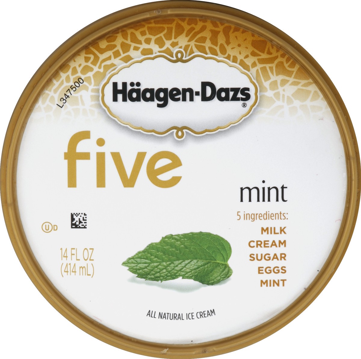 slide 2 of 6, Häagen-Dazs Ice Cream, Mint, 14 oz