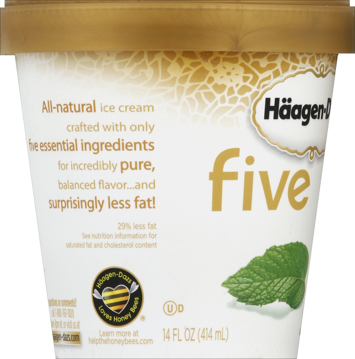 slide 3 of 6, Häagen-Dazs Ice Cream, Mint, 14 oz