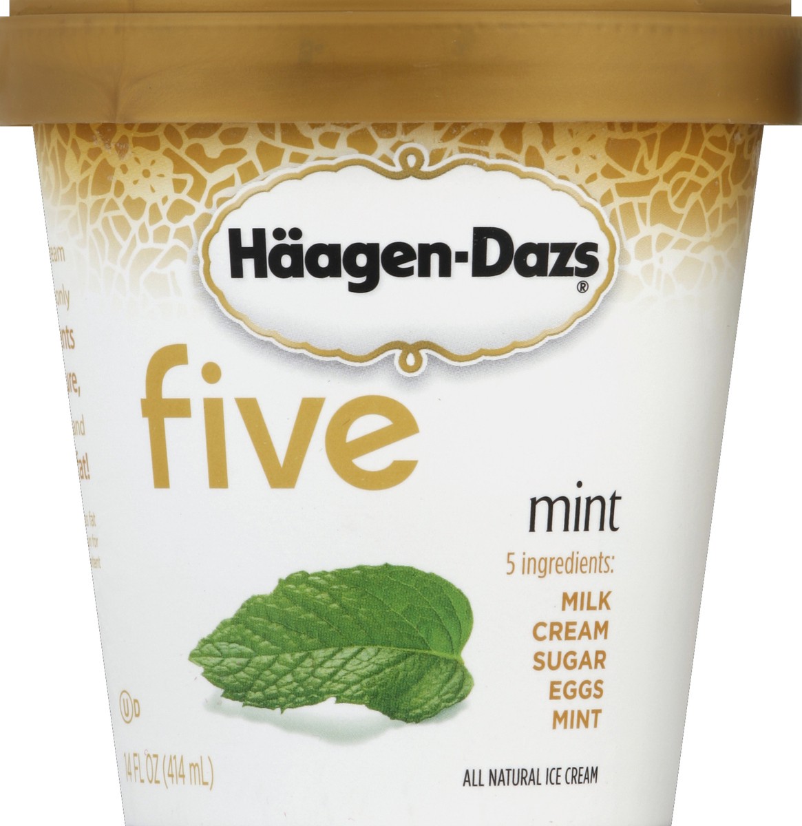 slide 5 of 6, Häagen-Dazs Ice Cream, Mint, 14 oz