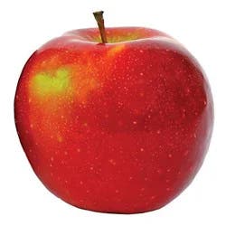 Fresh Rome Apples