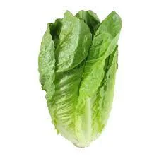 Organic Romaine Lettuce Bag