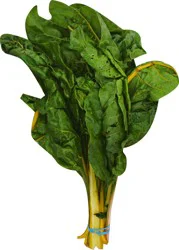 Organic Green Chard