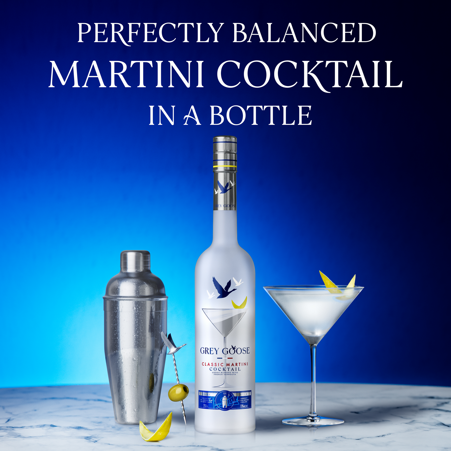 slide 5 of 5, Grey Goose Classic Martin, 750 ml