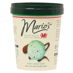 Mario's Mint Chocolate Chip Ice Cream