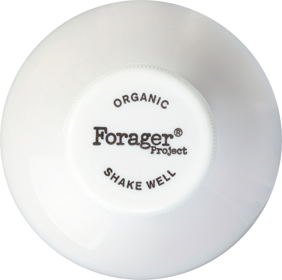 slide 13 of 13, Forager Project Organic Dairy-Free Probiotic Blueberry Cashewmilk Yogurt 28 fl oz, 28 fl oz