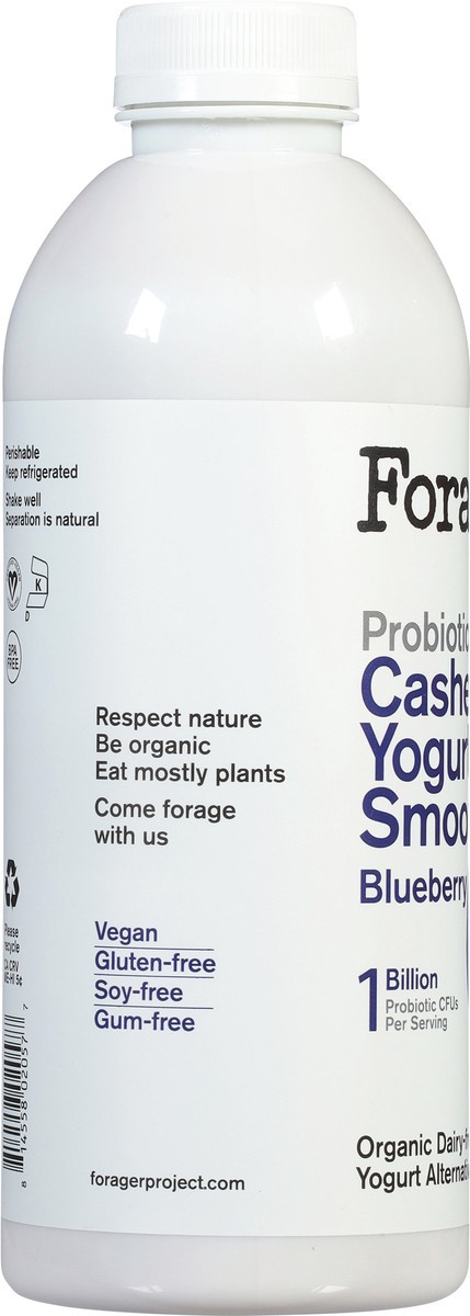 slide 5 of 13, Forager Project Organic Dairy-Free Probiotic Blueberry Cashewmilk Yogurt 28 fl oz, 28 fl oz