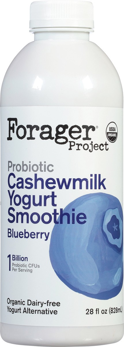 slide 8 of 13, Forager Project Organic Dairy-Free Probiotic Blueberry Cashewmilk Yogurt 28 fl oz, 28 fl oz