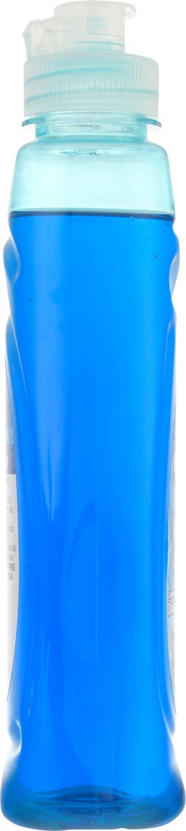 slide 13 of 13, Se Grocers Orig Scnt Dsh Liquid, 8 oz