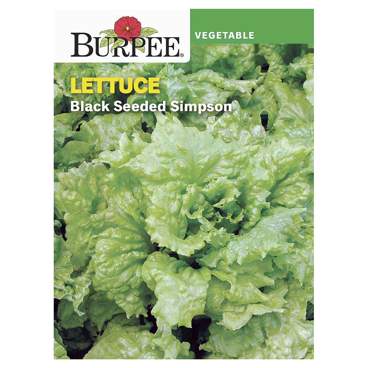 slide 1 of 5, Burpee Black Seeded Simpson Lettuce Seeds - Green, 1 ct