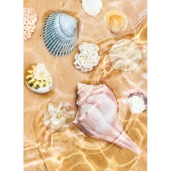 Avanti Card Blank Seashell Collage