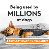 slide 9 of 17, Thundershirt, Heather Grey, Extra Small, XS