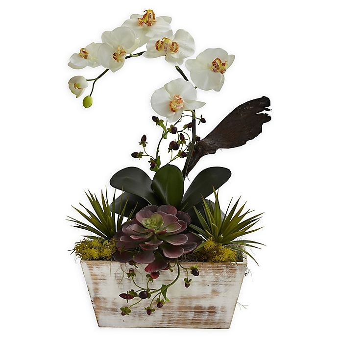 slide 1 of 1, Nearly Natural Orchid & Succulent Garden Floral Arrangement with Planter, 1 ct