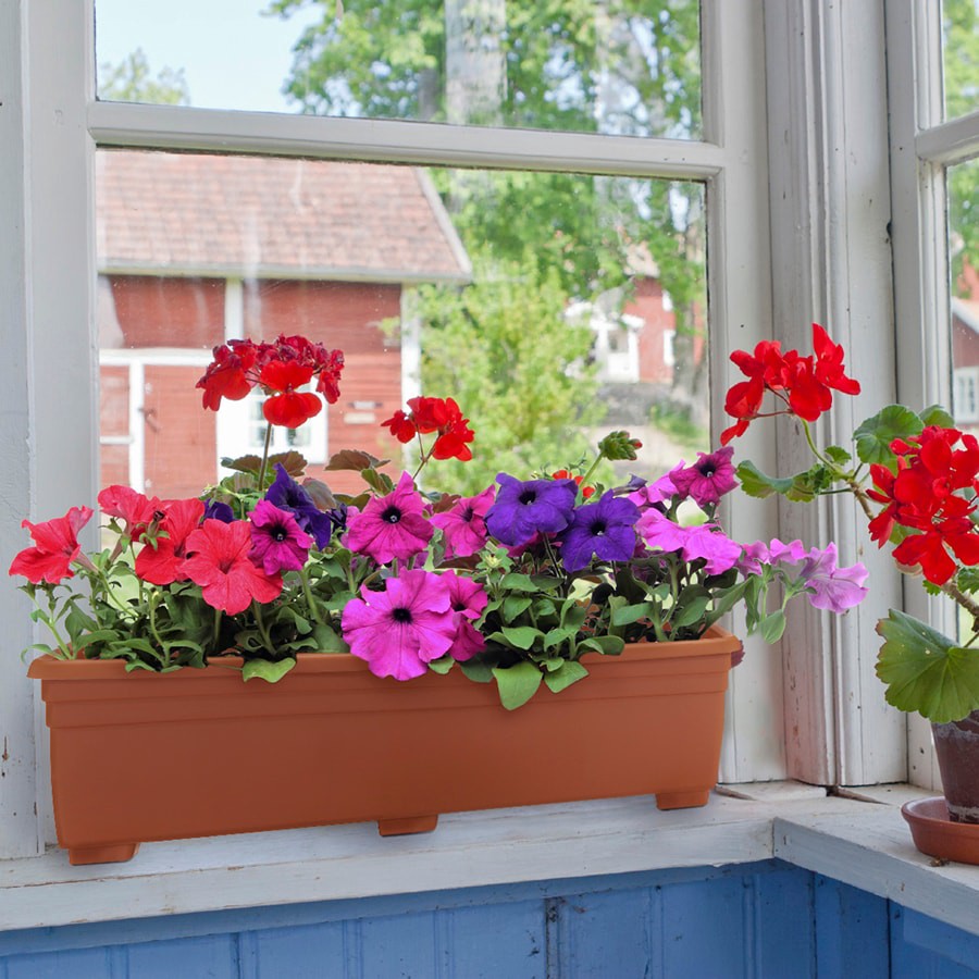 slide 5 of 6, Garden Treasures Rectangle 7.9-in W x 25-in L Orange Plastic Outdoor Window box, 1 ct