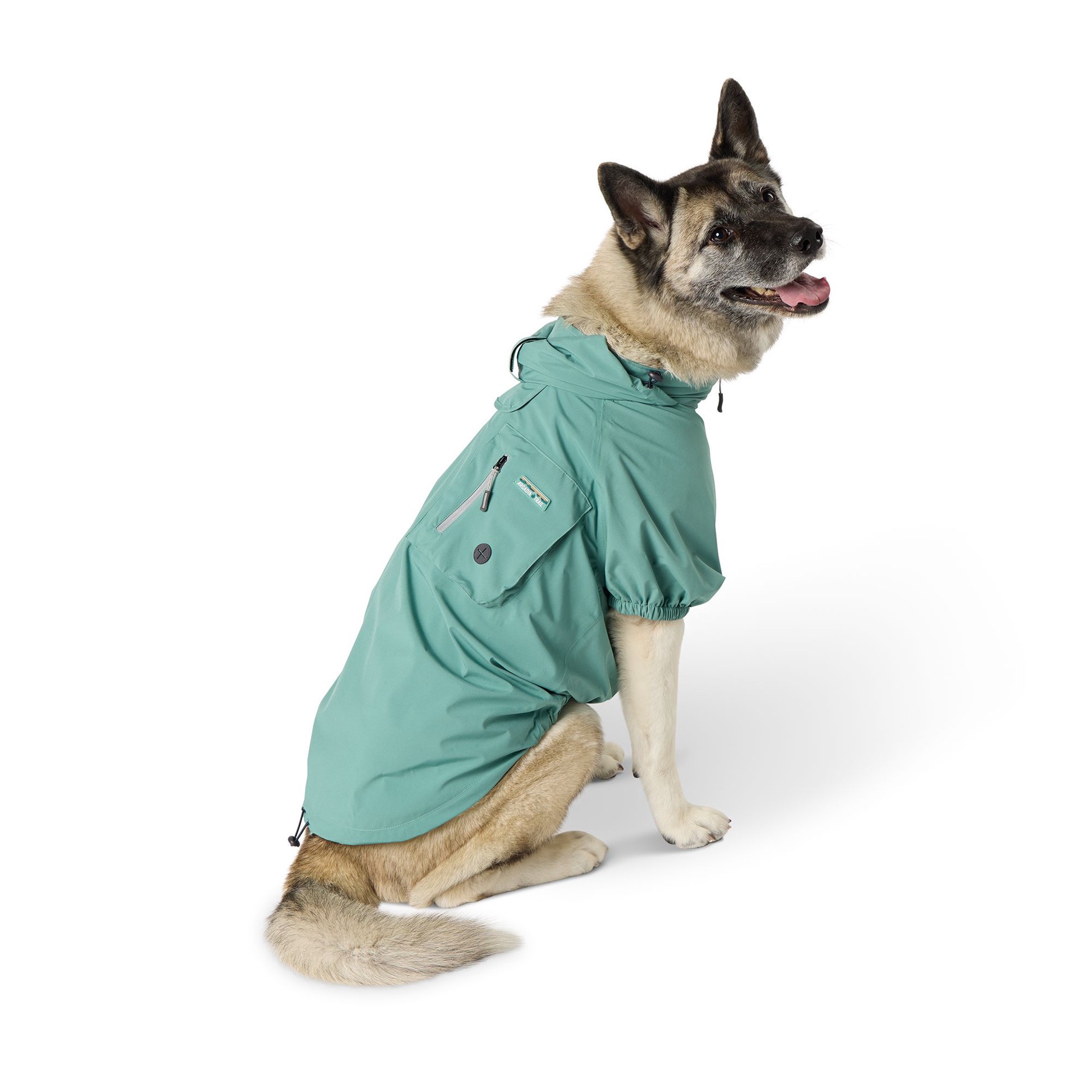 Arcadia Trail Waterproof Dog Windbreaker | Shipt