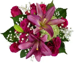 Bloom Haus Classic Rose Bouquet - Hot Pink
