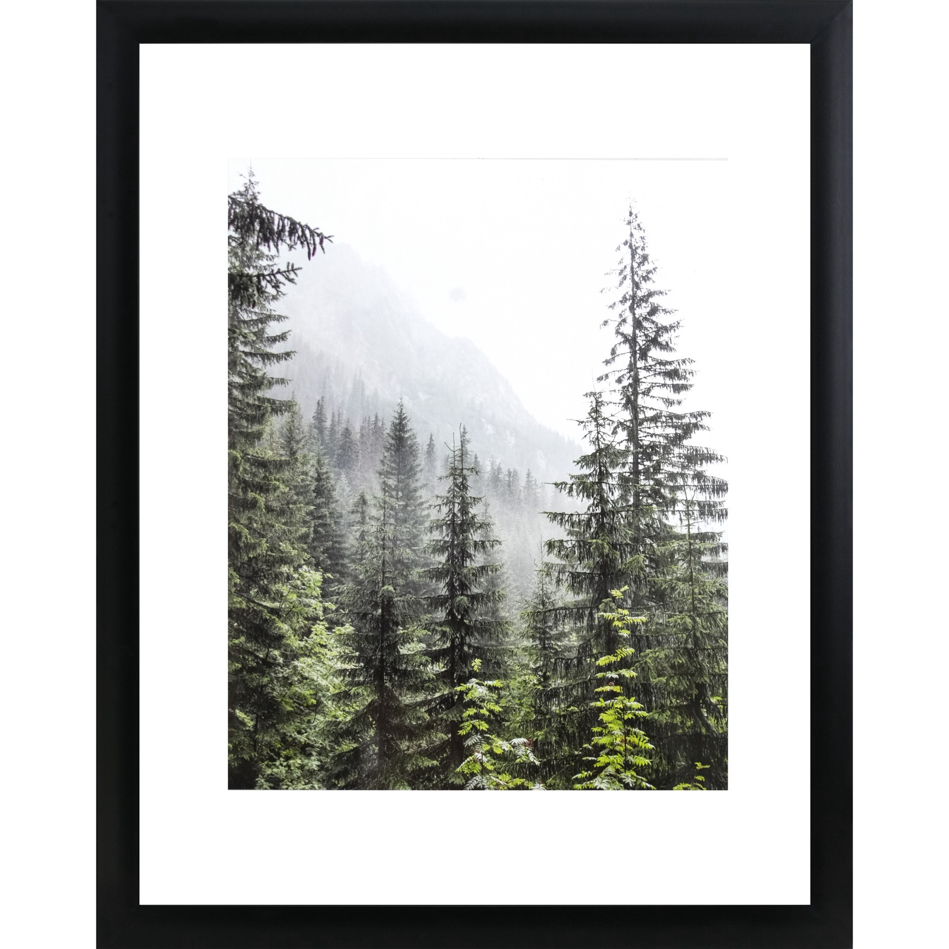 slide 5 of 7, 3 Pack Gallery 11" X 14" Black Float Frame By Studio Decor, 11 in x 14 in