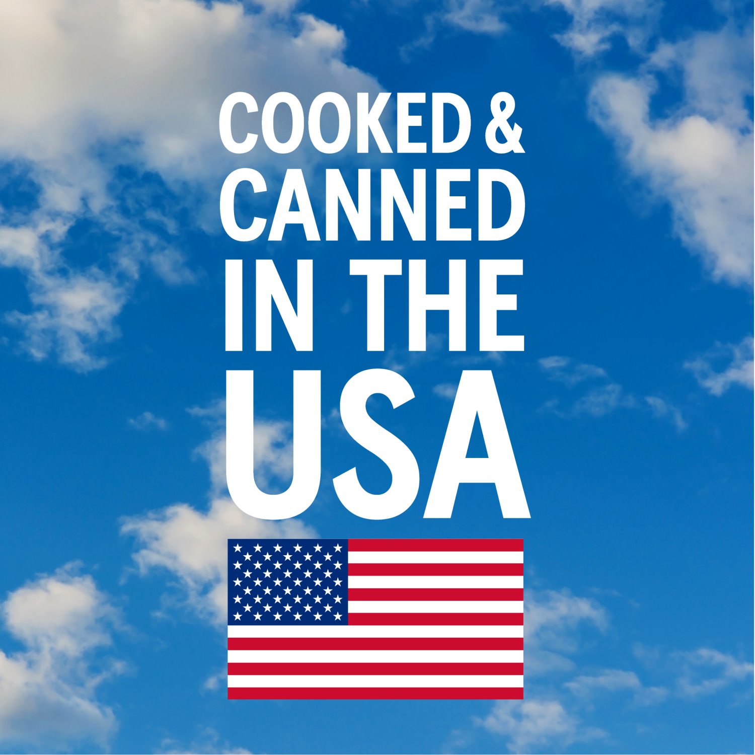 slide 5 of 5, Bush's Best Bush's Chili Magic Classic Homestyle 15.5 oz, 15.5 oz