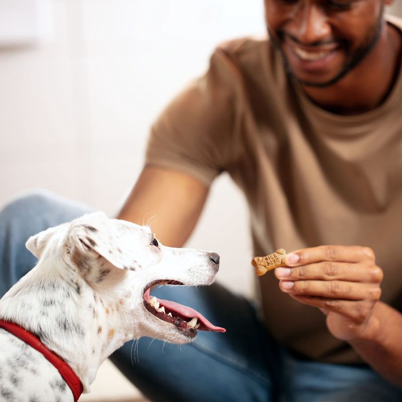 slide 2 of 4, Milk-Bone Original Mini Dog Treats Biscuits with Beef, Chicken & Bacon Flavor Snacks - 36oz, 36 oz