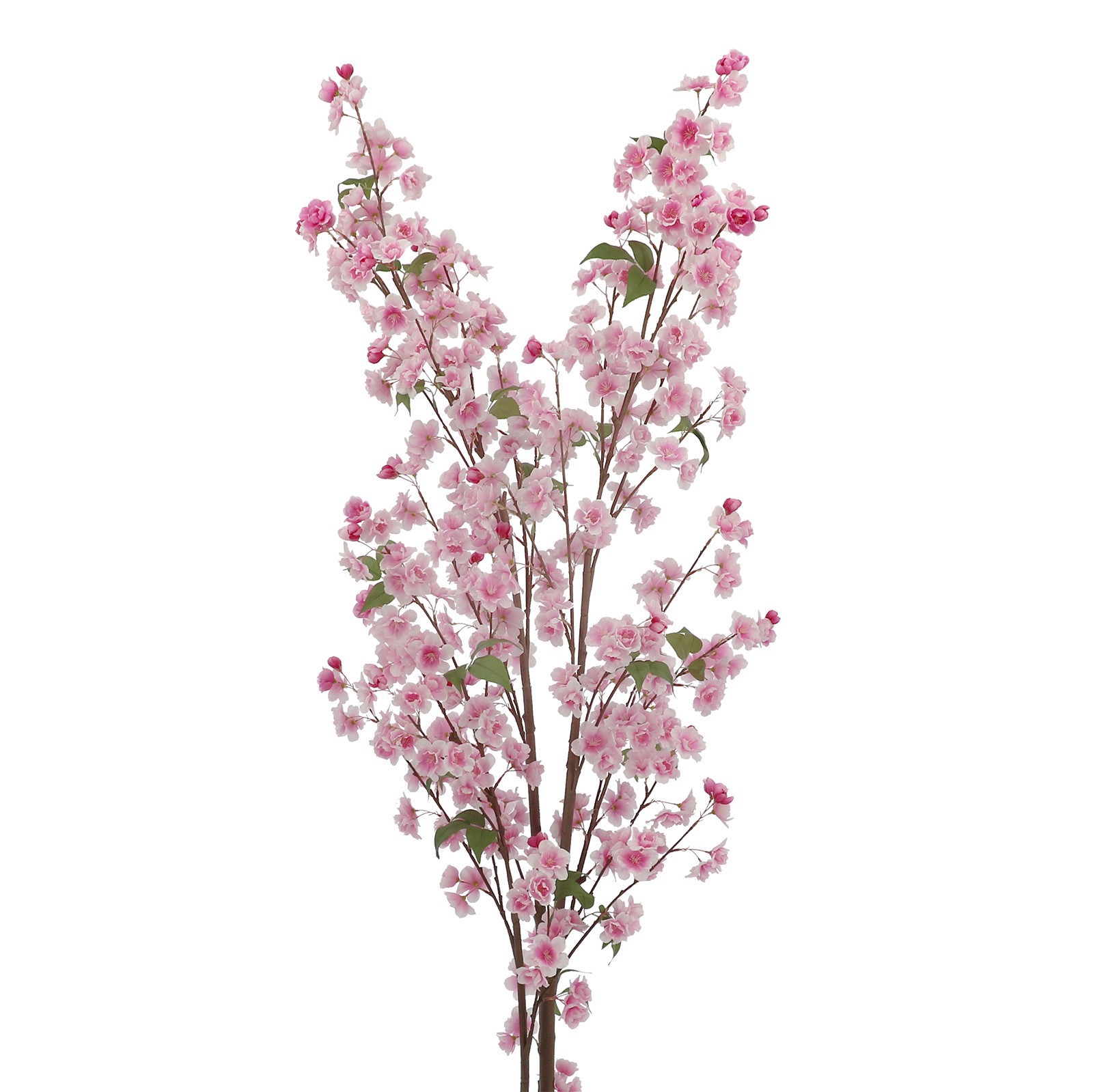 slide 2 of 2, 6 ft. Potted Pink Cherry Blossom Tree by Ashland, 26 in x 22 in x 72 in