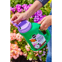 slide 8 of 21, Miracle-Gro Shake 'n Feed Rose and Bloom Continuous Release Plant Food, 4.5 lb