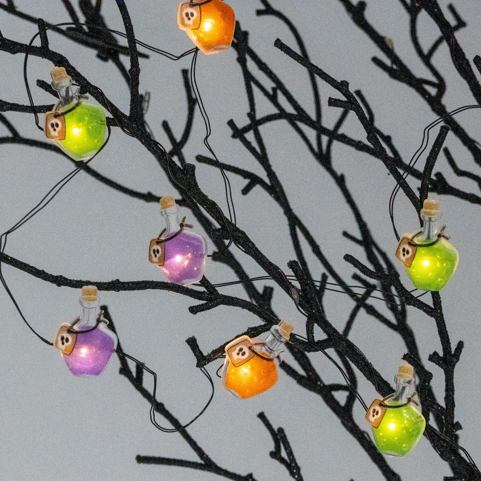 slide 3 of 4, 18ct. Poison Flasks Icon Led String Lights By Ashland, 18 ct